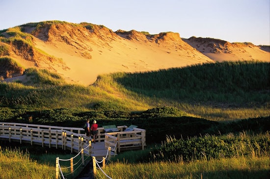 Greenwich Dunes