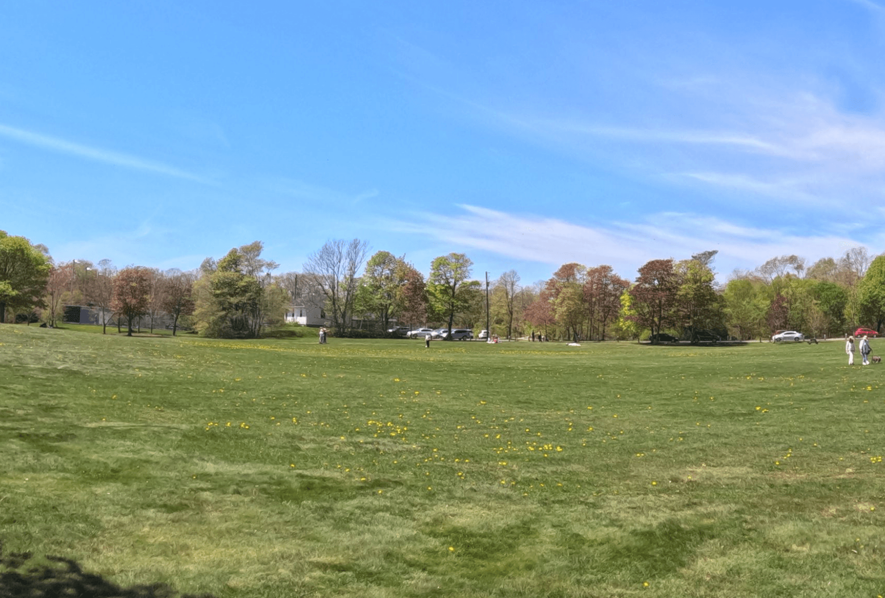 Victoria Park Charlottetown in spring bloom